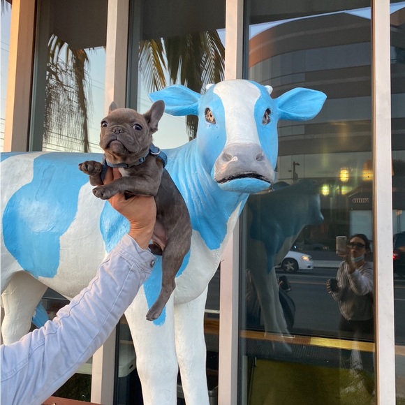 Like this to be notified when I go live! - Picture 6 of 14